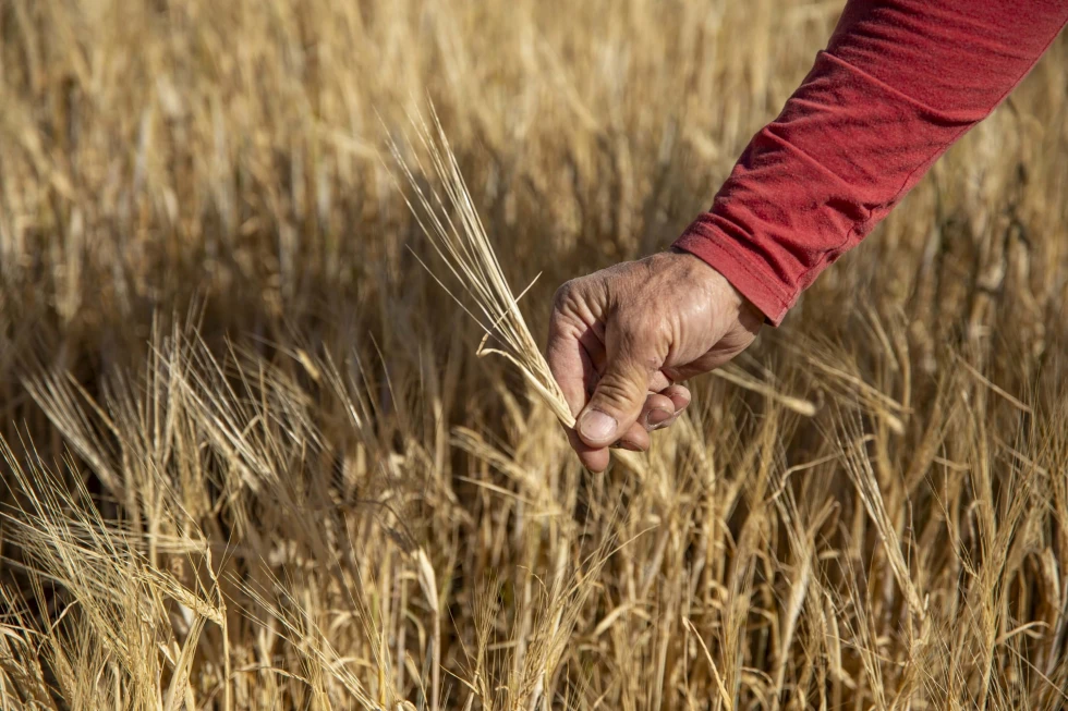 DF_Central Milling_Round 1 Edits_0508