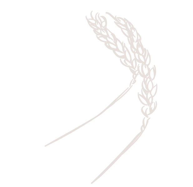 grains-of-wheat-alt