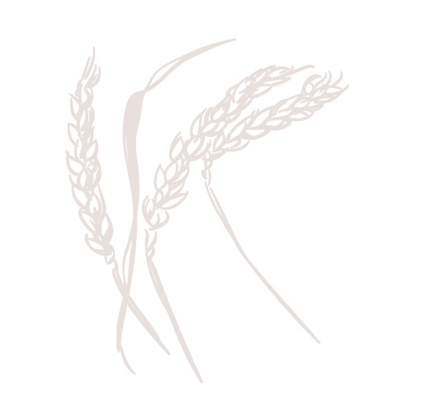 grains-of-wheat