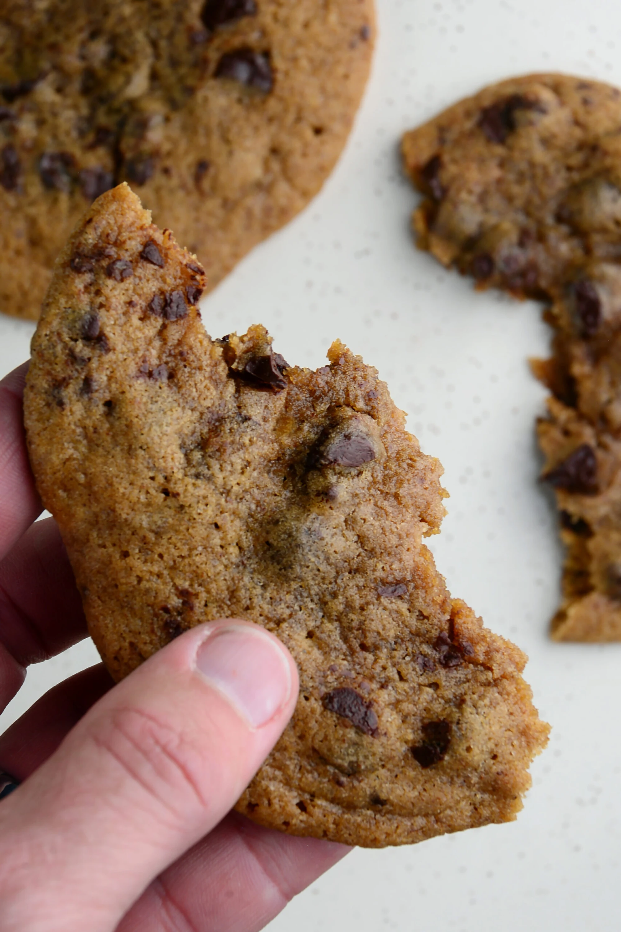 Cookie-Monster-Cookies_Alt-scaled