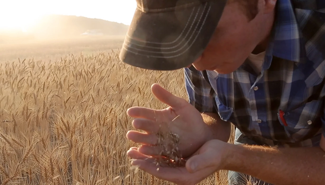 CM-Brand-Video_Farmer