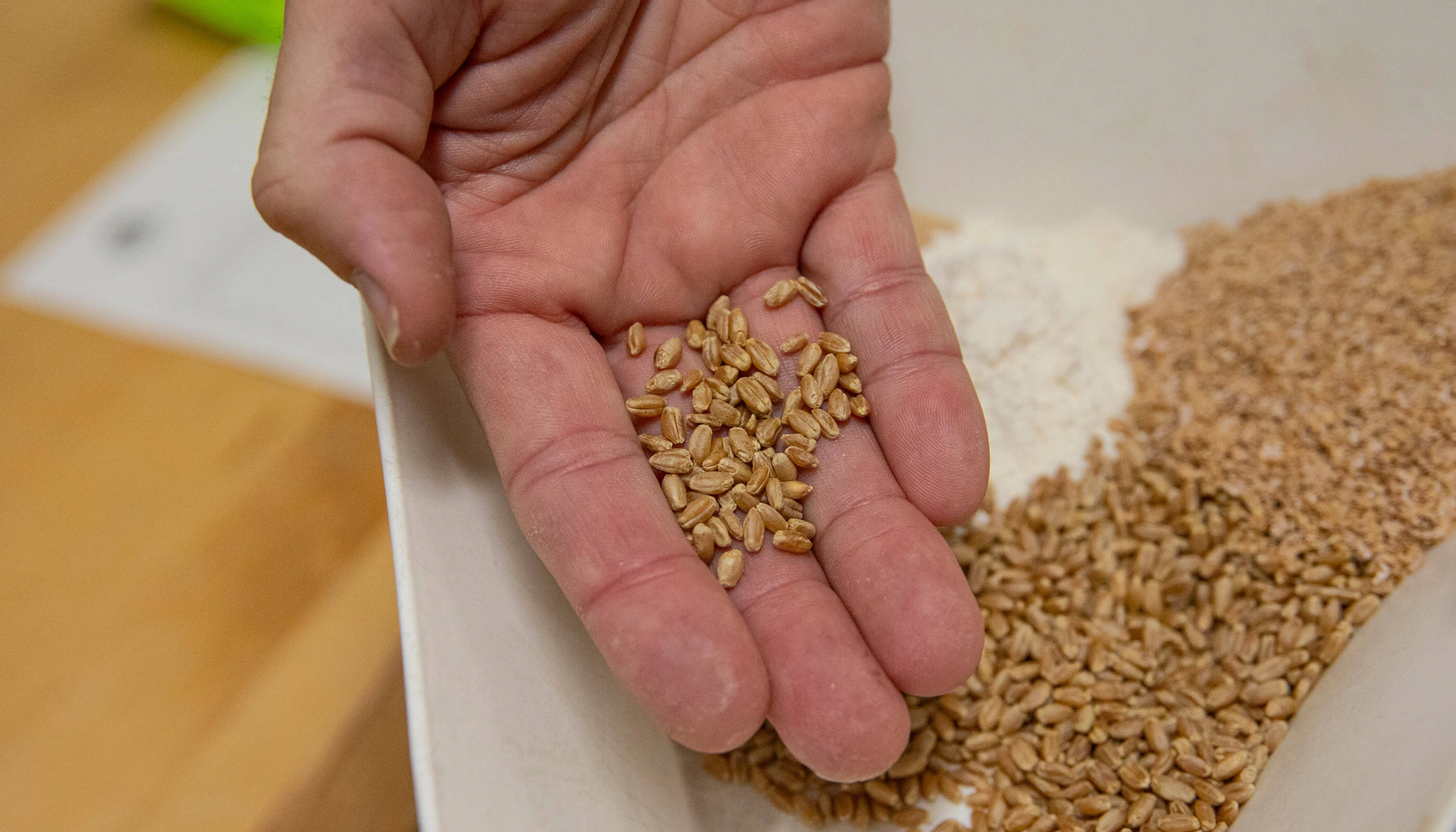 Flour-Grain-Blending_2800x1600